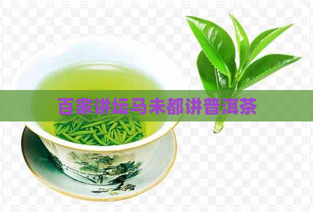 百家讲坛马未都讲普洱茶