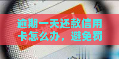 逾期一天还款信用卡怎么办，避免罚息和信用损失的有效策略