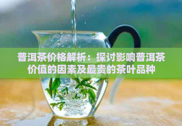 普洱茶价格解析：探讨影响普洱茶价值的因素及最贵的茶叶品种