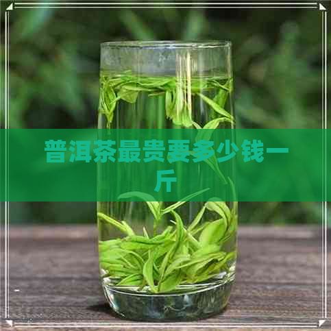 普洱茶最贵要多少钱一斤