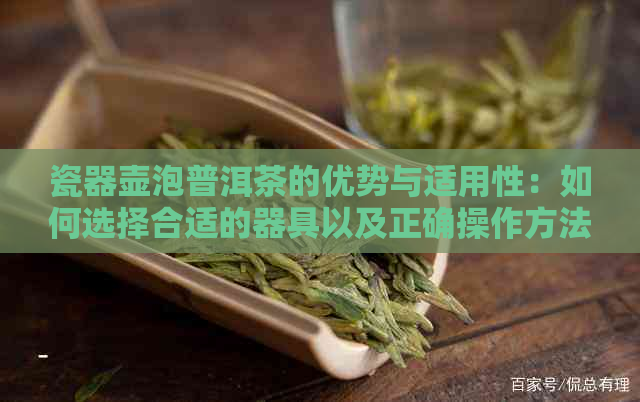 瓷器壶泡普洱茶的优势与适用性：如何选择合适的器具以及正确操作方法