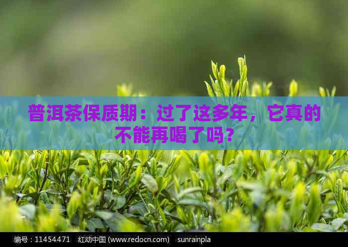 普洱茶保质期：过了这多年，它真的不能再喝了吗？