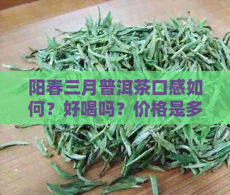 阳春三月普洱茶口感如何？好喝吗？价格是多少？