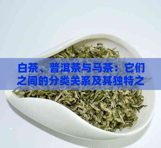 白茶、普洱茶与马茶：它们之间的分类关系及其独特之处