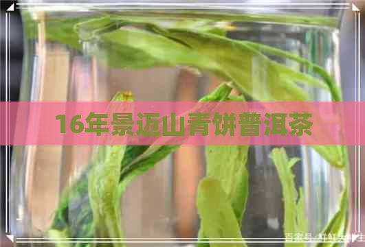 16年景迈山青饼普洱茶