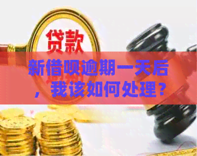 新借呗逾期一天后，我该如何处理？这里有一些建议！