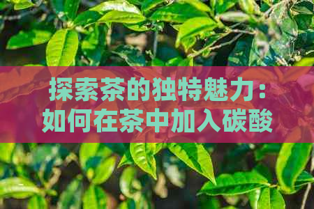 探索茶的独特魅力：如何在茶中加入碳酸氢钠以创造全新的口感体验