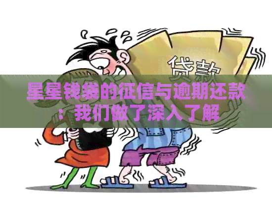 星星钱袋的与逾期还款：我们做了深入了解