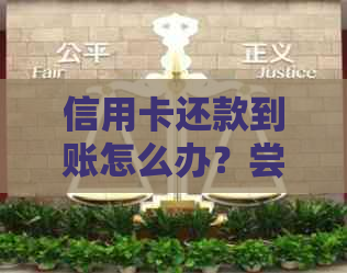 信用卡还款到账怎么办？尝试这些解决方案！