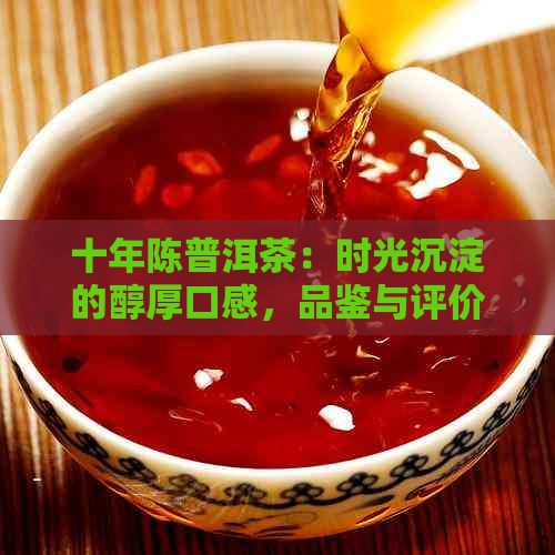 十年陈普洱茶：时光沉淀的醇厚口感，品鉴与评价指南