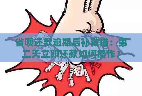 省呗还款逾期后补救措：第二天立即还款如何操作？