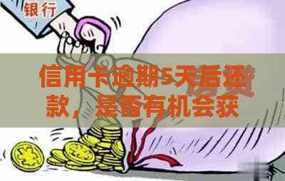 信用卡逾期5天后还款，是否有机会获得免息期？