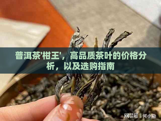 普洱茶'柑王'，高品质茶叶的价格分析，以及选购指南