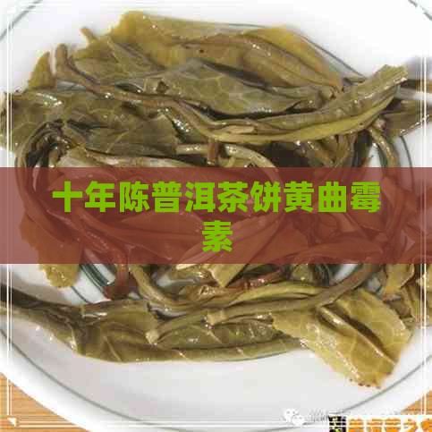 十年陈普洱茶饼黄曲霉素