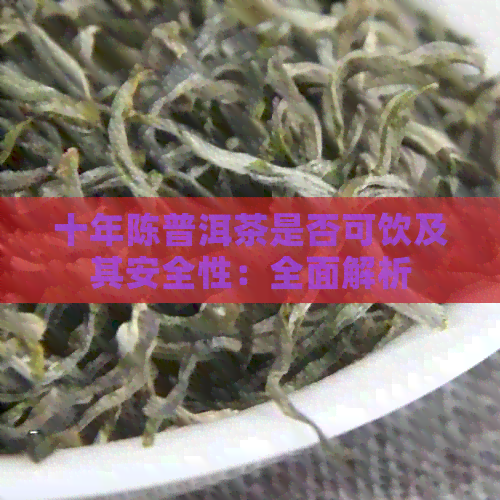 十年陈普洱茶是否可饮及其安全性：全面解析