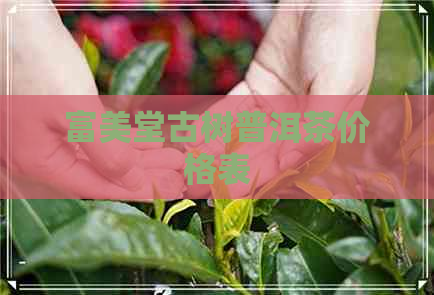 富美堂古树普洱茶价格表