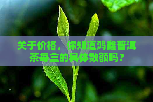 关于价格，你知道鸿鑫普洱茶每盒的具体数额吗？