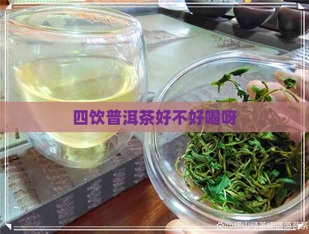 四饮普洱茶好不好喝呀