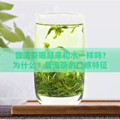 普洱茶喝起来和水一样吗？为什么？普洱茶的口感特征是什么？