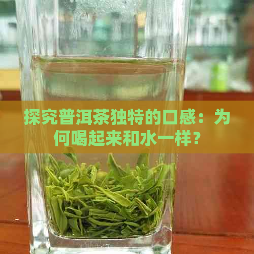 探究普洱茶独特的口感：为何喝起来和水一样？