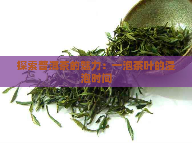 探索普洱茶的魅力：一泡茶叶的浸泡时间