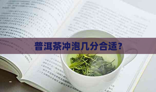 普洱茶冲泡几分合适？