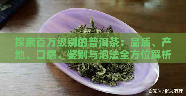 探索百万级别的普洱茶：品质、产地、口感、鉴别与泡法全方位解析