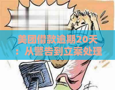 美团借款逾期20天：从警告到立案处理的全过程解析