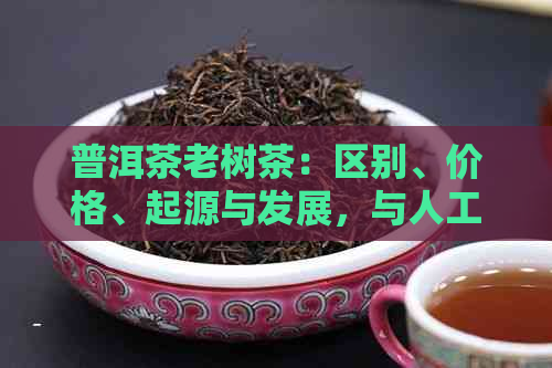 普洱茶老树茶：区别、价格、起源与发展，与人工种植的比较