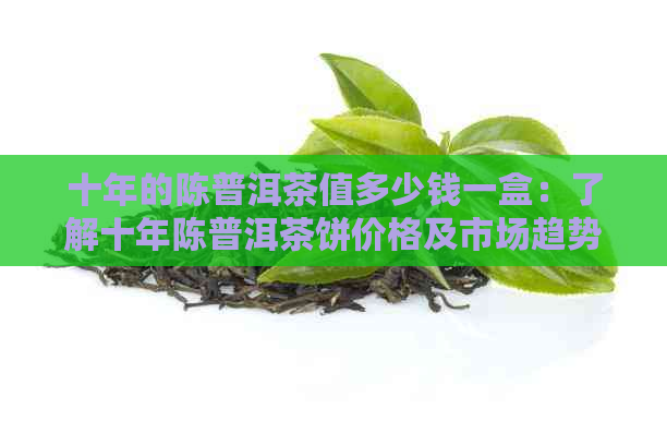 十年的陈普洱茶值多少钱一盒：了解十年陈普洱茶饼价格及市场趋势