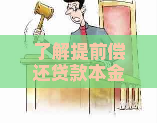 了解提前偿还贷款本金的利息政策，避免不必要的费用损失