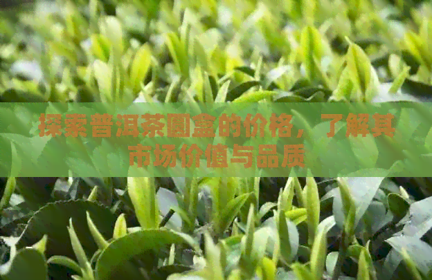 探索普洱茶圆盒的价格，了解其市场价值与品质