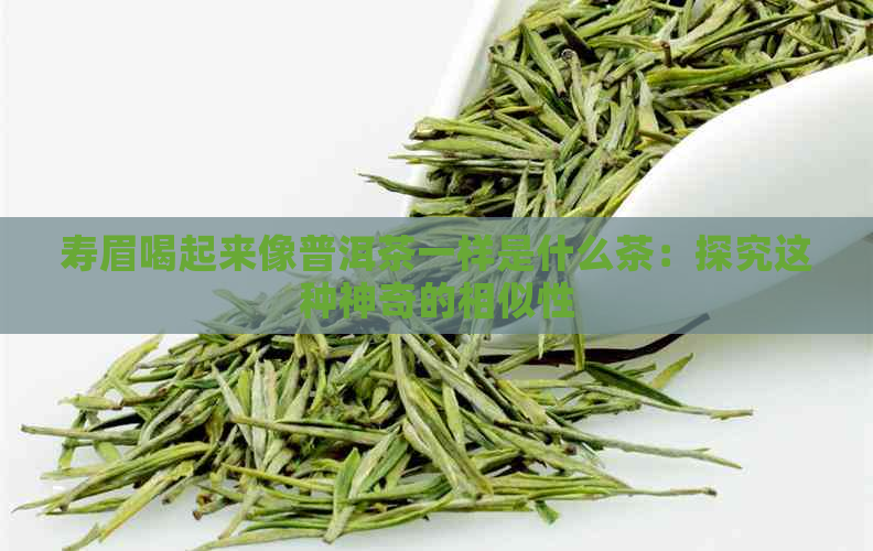 寿眉喝起来像普洱茶一样是什么茶：探究这种神奇的相似性