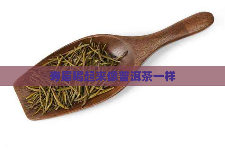 寿眉喝起来像普洱茶一样