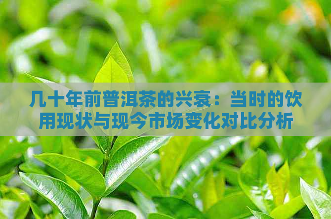 几十年前普洱茶的兴衰：当时的饮用现状与现今市场变化对比分析