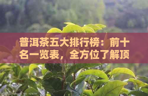 普洱茶五大排行榜：前十名一览表，全方位了解顶级普洱茶与口感！