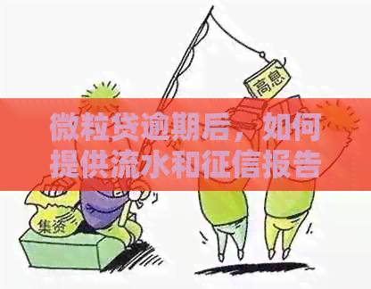 微粒贷逾期后，如何提供流水和报告？了解详细流程和要求