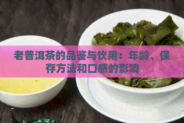 老普洱茶的品鉴与饮用：年龄、保存方法和口感的影响