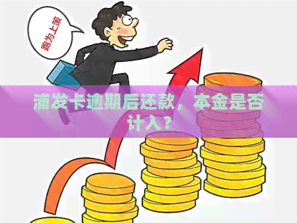 浦发卡逾期后还款，本金是否计入？