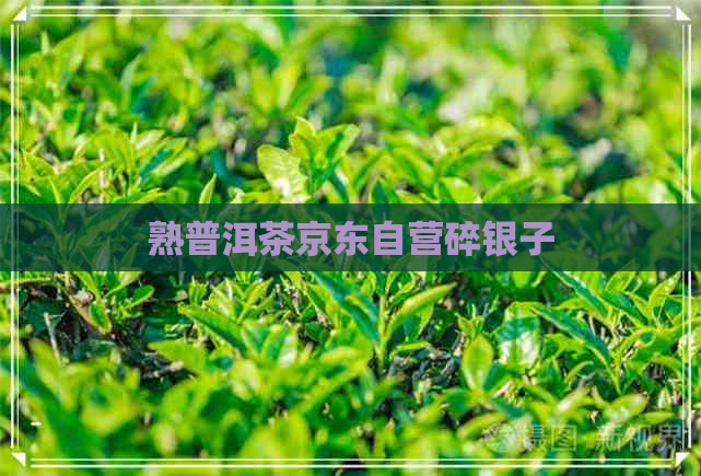 熟普洱茶京东自营碎银子