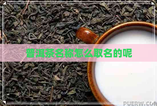 普洱茶名称怎么取名的呢