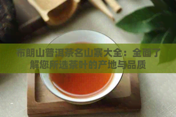 布朗山普洱茶名山寨大全：全面了解您所选茶叶的产地与品质