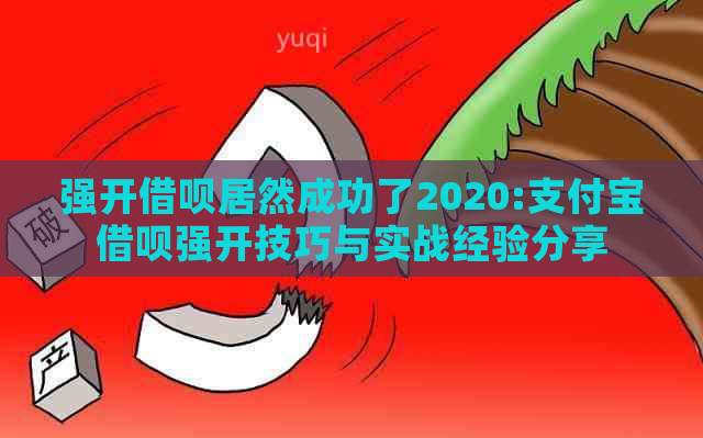 强开借呗居然成功了2020:支付宝借呗强开技巧与实战经验分享