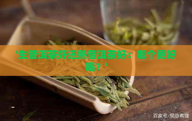 '生普洱茶好还熟普洱茶好：哪个更好喝？'