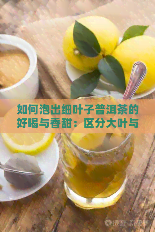 如何泡出细叶子普洱茶的好喝与香甜：区分大叶与细叶的关键