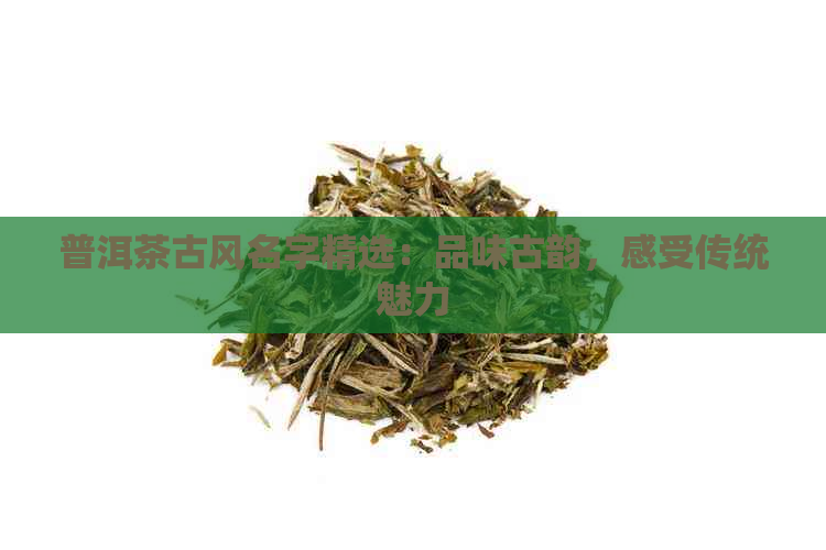 普洱茶古风名字精选：品味古韵，感受传统魅力