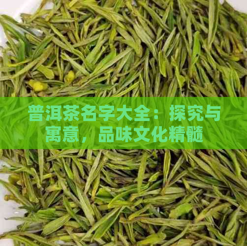 普洱茶名字大全：探究与寓意，品味文化精髓