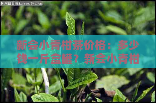 新会小青柑茶价格：多少钱一斤盒罐？新会小青柑普茶怎么样？