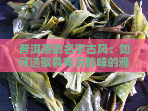 普洱茶的名字古风：如何选取具有历韵味的雅致名称？