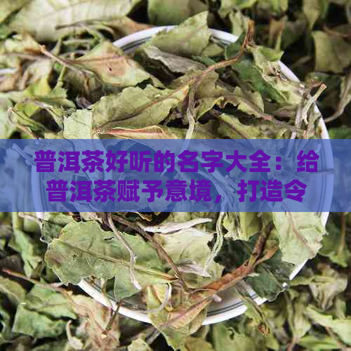 普洱茶好听的名字大全：给普洱茶赋予意境，打造令人难忘的形象